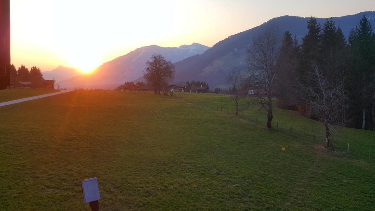 Schrandl Apartment Penningberg Hopfgarten im Brixental Exteriör bild