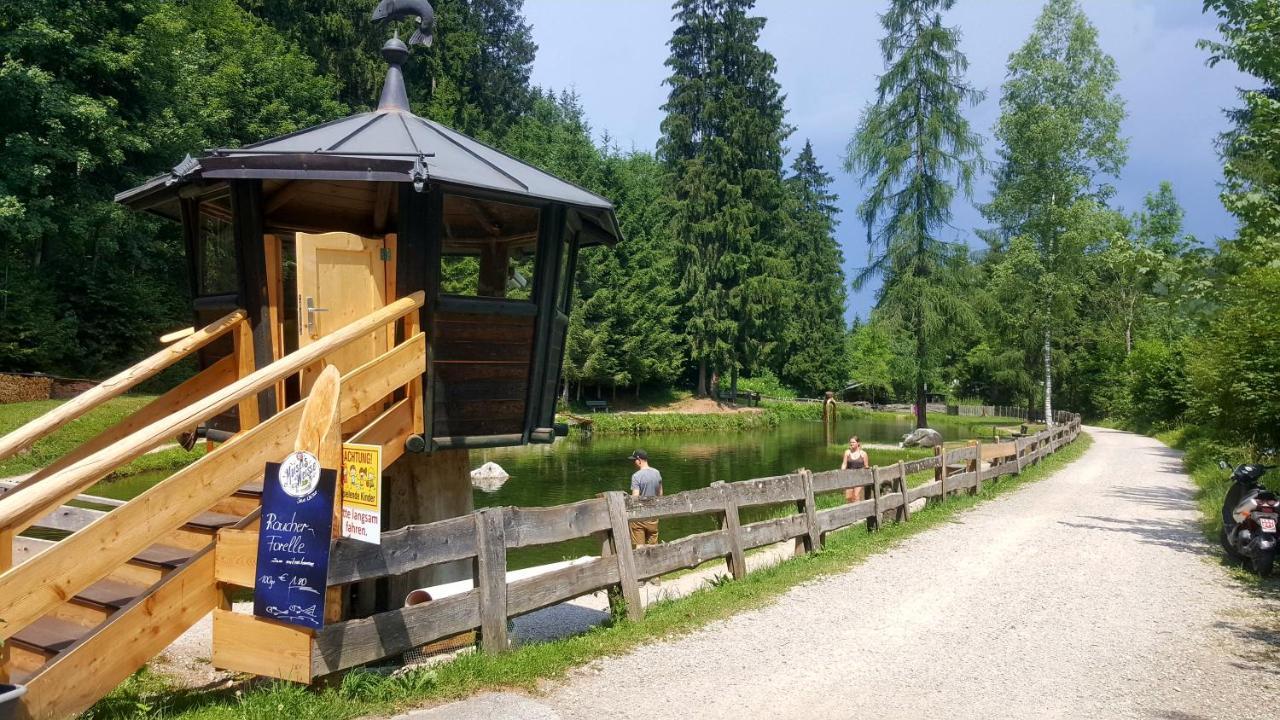 Schrandl Apartment Penningberg Hopfgarten im Brixental Exteriör bild