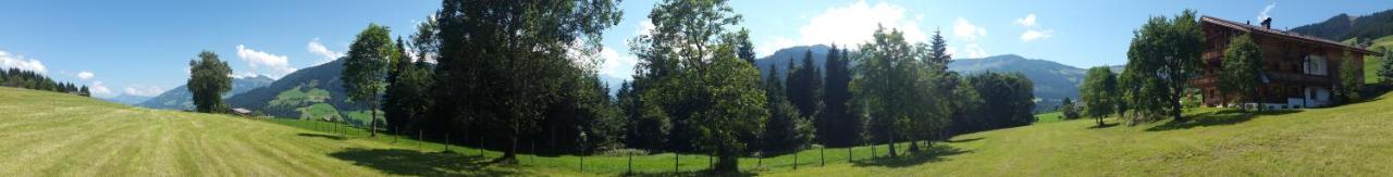 Schrandl Apartment Penningberg Hopfgarten im Brixental Exteriör bild