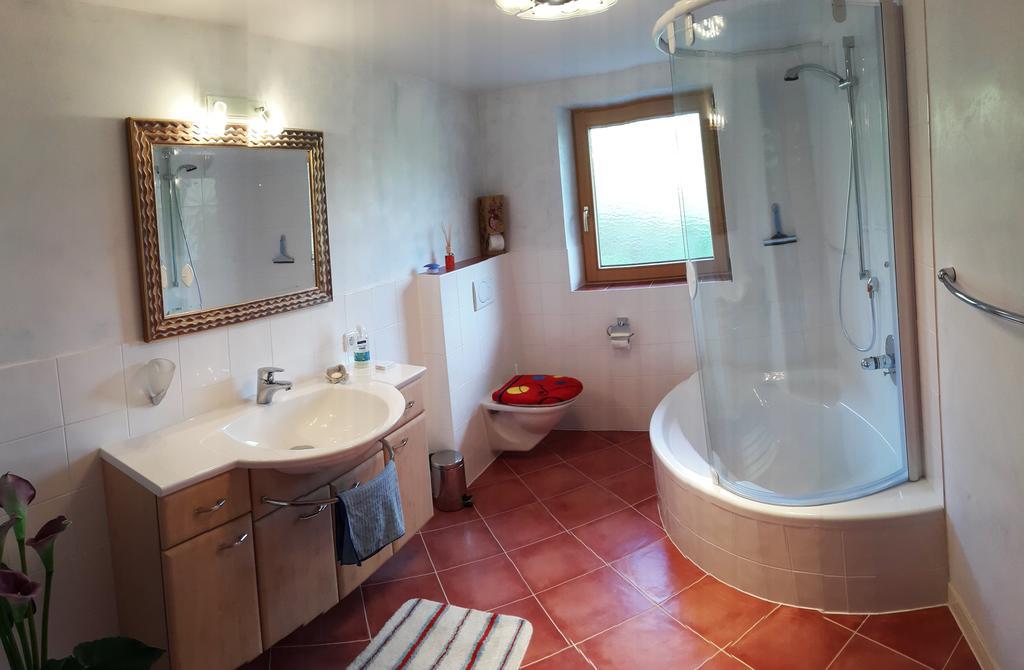 Schrandl Apartment Penningberg Hopfgarten im Brixental Rum bild