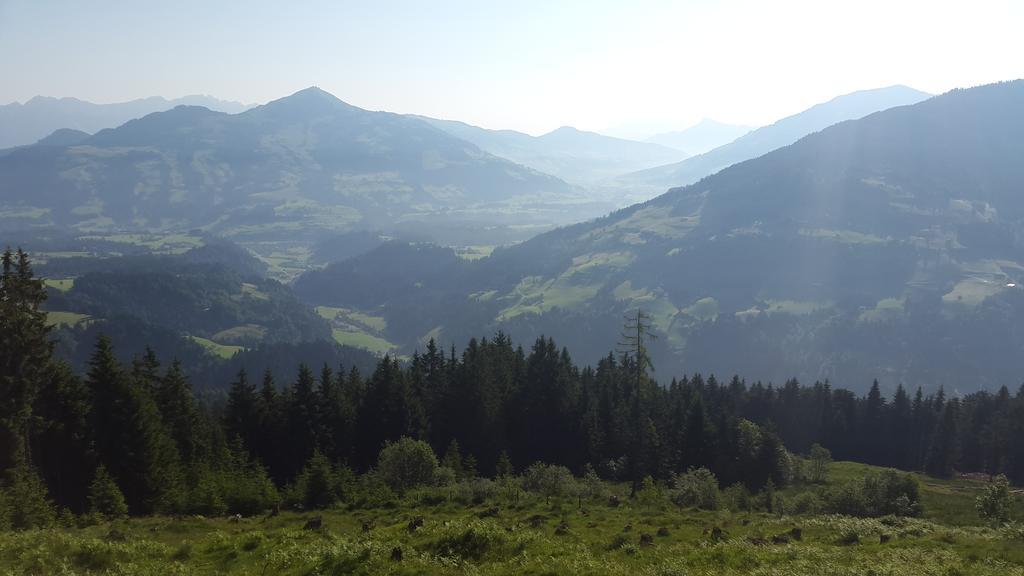 Schrandl Apartment Penningberg Hopfgarten im Brixental Rum bild