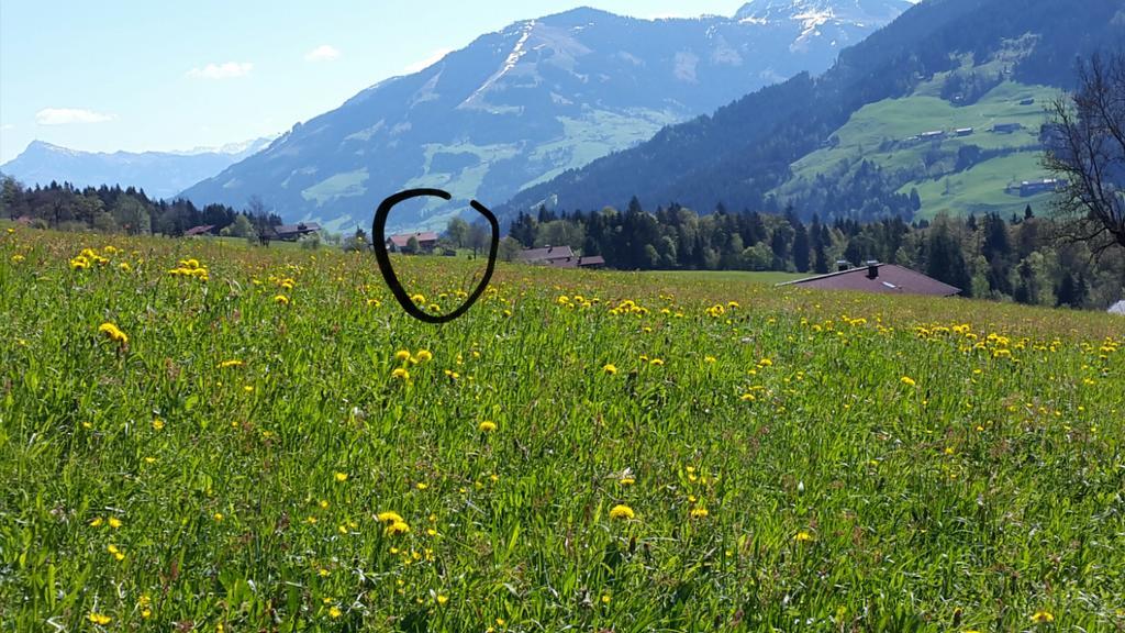 Schrandl Apartment Penningberg Hopfgarten im Brixental Exteriör bild