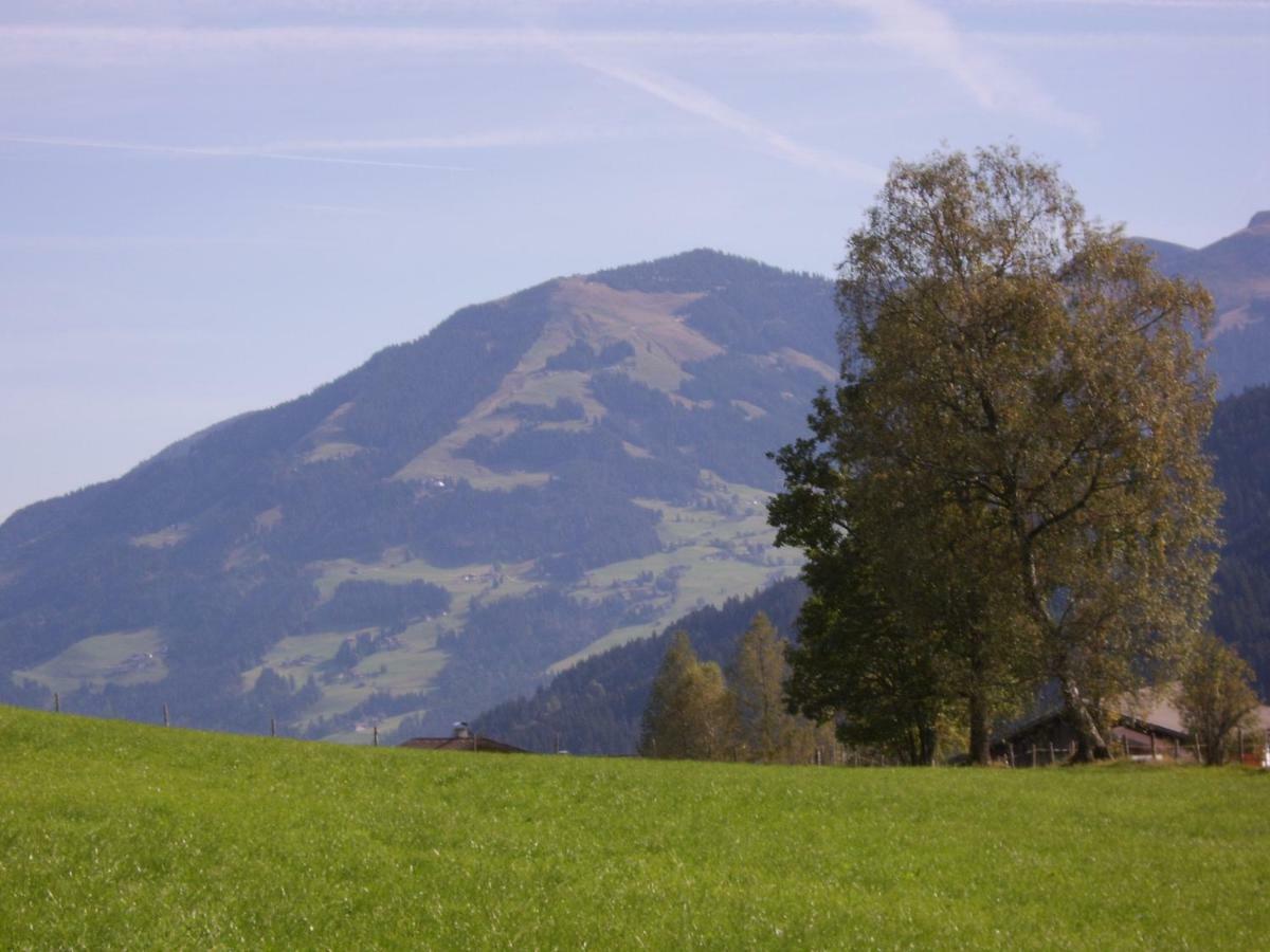 Schrandl Apartment Penningberg Hopfgarten im Brixental Exteriör bild