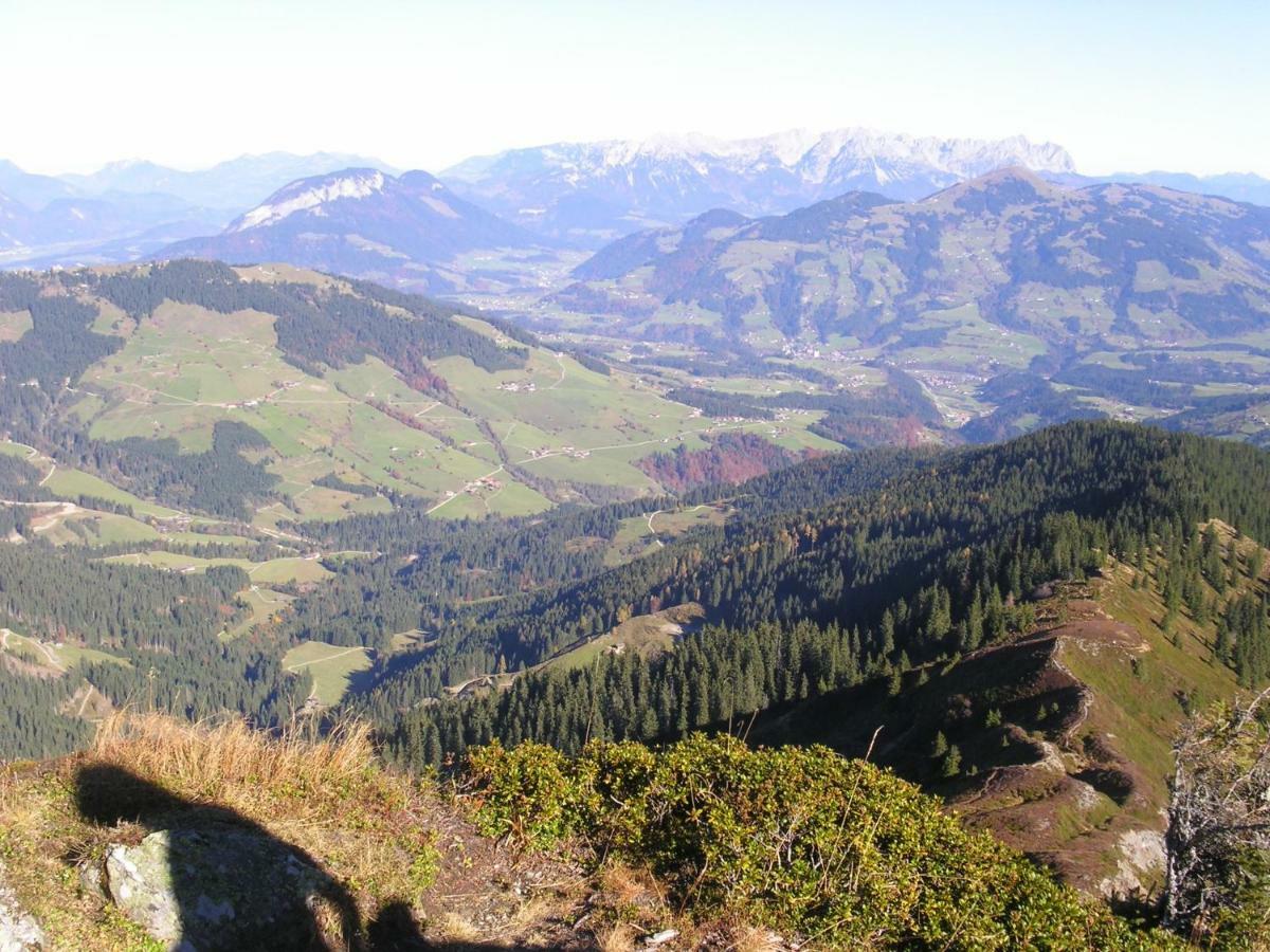 Schrandl Apartment Penningberg Hopfgarten im Brixental Exteriör bild